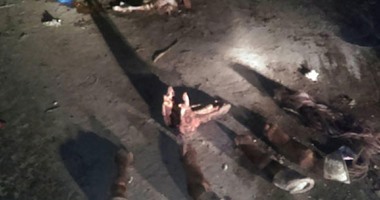 مخاوف بالإسكندرية بعد العثور على بقايا حصان مذبوح فى العصافرة