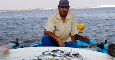 قرعة علنية لتسكين بائعى الأسماك فى باكيات بالسويقة بحامول كفر الشيخ