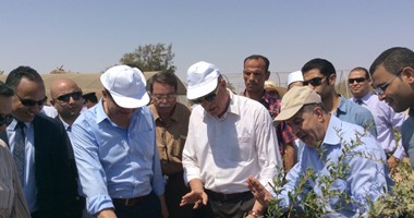 بالصور.. وزير البحث العلمى: مزرعة نموذجية بجنوب سيناء على مساحة 100 فدان