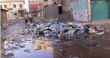 صحافة المواطن: بالصور.. انتشار لمواقف عشوائية وقمامة بمينا البصل بالإسكندرية
