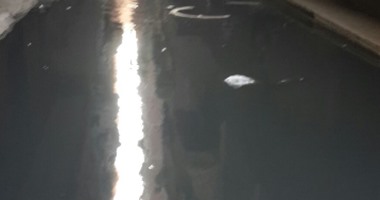 مياه الصرف الصحى تغرق أحد مساجد قرية طهواى بالدقهلية