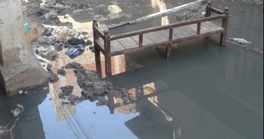 صحافة المواطن.. شارع مسجد النور بشبرا دمنهور يغرق فى مياه الصرف