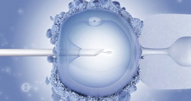 هل يختلف الطفل المولود عبر الحقن المجهرى فى مراحل النمو؟