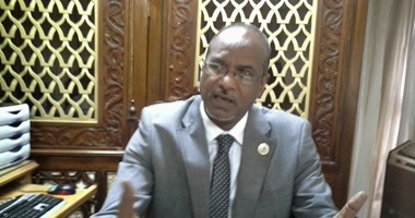 رئيس مكتب الاتحاد الأفريقى بالقاهرة: نأمل إنهاء نزاعات القارة عام 2020 