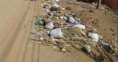 صحافة المواطن: انتشار القمامة بقرية ميت العز بقويسنا بالمنوفية
