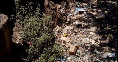 قارئ لـ"صحافة المواطن":بالصور..تراكم القمامة بترعة "ميت العز" فى المنوفية
