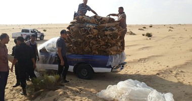 بالصور.. ضبط طن بانجو داخل مخزن فى صحراء القنطرة شرق بالإسماعيلية