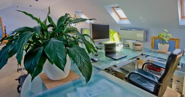دراسة بريطانية: وجود نباتات فى المكاتب يجعل الموظفين أكثر إنتاجية