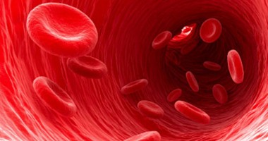 فيديو معلوماتى.. 8 أرقام مهمة عن خلايا الدم داخل الجسم