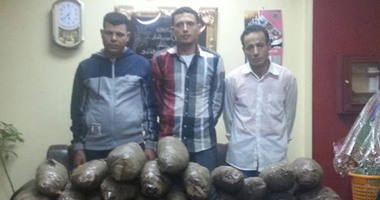 ضبط 3 مسجلين خطر بحوزتهم 45 كيلو بانجو بسمنود
