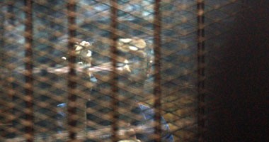 الجنايات تستأنف اليوم محاكمة أحمد دومة و268 آخرين بأحداث مجلس الوزراء