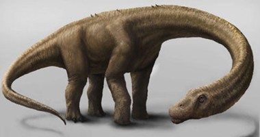 العصافير المنحدرة من الديناصورات آكلة اللحوم فقدت أسنانها منذ 116 مليون سنة