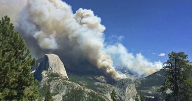 حرائق الغابات فى كاليفورنيا تهدد الأشجار القديمة