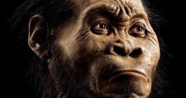 بالصور.. علماء يكتشفون فصيلة جديدة من البشر سبقت ظهور الإنسان الحالى