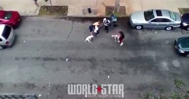 بالفيديو.. أمريكية تأمر كلبيها الـ”بيتبول” بتمزيق جسد مسن فى الشارع