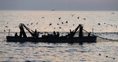 غرق مركب صيد مصرى على متنه 14 صيادا بنطاق المياه السودانية