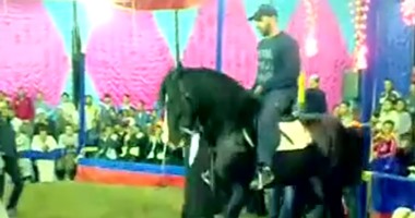 بالفيديو .. أحمد السقا يرقص على حصانه فى مهرجان للمزمار الشعبى