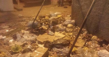 صحافة المواطن.. انتشار الأمراض نتيجة تراكم القمامة بقرية بهجورة فى قنا