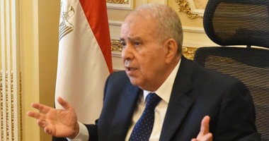 وزير الشئون القانونية والمجالس النيابية: "تعديل الدستور غير وارد"