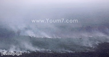 استمرار أزمة حرائق الغابات فى إندونيسيا وسحب الدخان تغطى جزيرة سومطرة