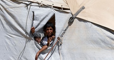 منظمة التحرير الفلسطينية توجه نداء عاجلا إلى الأمم المتحدة لتوفير الحماية للاجئين