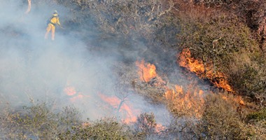 بالصور..حرائق الغابات تلتهم المناطق الريفية بولاية كاليفورنيا الأمريكية