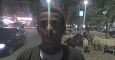 بالفيديو.. مواطن لمحافظ المنوفية :" الصرف الصحى لم يستكمل "