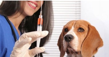 الصحة: توفير مصل الكلب بوحدات الرعاية الأساسية بالجمهورية مجانا
