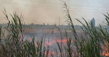 محافظ البحيرة: رصد مواقع حرق الأرز المخالفة بالبحيرة بالأقمار الصناعية