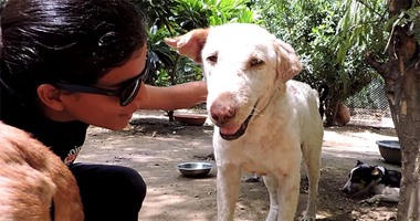 بالصور.. شاب هندى يكرس حياته لينقذ حياة كلب ضال