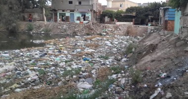 بالصور ..انتشار القمامة والحيوانات النافقة بقرية "الجرايدة" بكفر الشيخ
