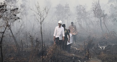 الرئيس الإندونيسى يطلب من 4 دول المساعدة فى اخماد حرائق الغابات
