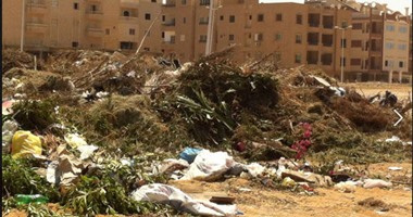 "صحافة المواطن": بالفيديو..القمامة تحاصر مدرسة عبد الرحمن بن عوف بعين شمس