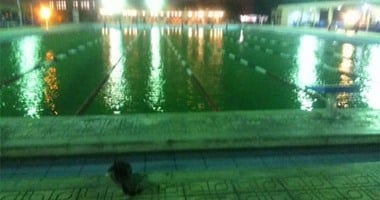 صحافة المواطن..شكوى من سوء الخدمات بنادى مدينة نصر وتلوث حمام السباحة