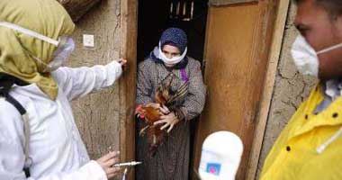 احتجاز 7 حالات للاشتباه فى إصابتها بأنفلونزا الطيور بالغربية