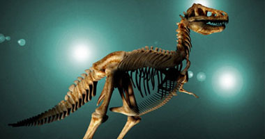  العثور على حفريات فريدة فى تشيلى لديناصورات الإكتيوصور