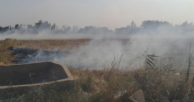 اجتماعات مكثفة لـ"زراعة الشرقية" لتوعية المزارعين بخطورة حرق قش الأرز