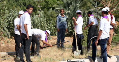 تشجير جامعة جنوب الوادى بـ1800 شجر زينة