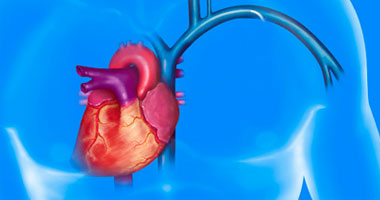 دراسات علمية: ضوضاء المطار تسبب أمراض القلب والأوعية الدموية
