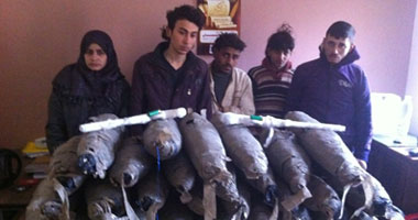 ضبط تشكيل عصابى لترويجه المخدرات بالغربية