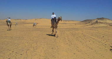 مطالب بإنشاء مركز دولى للعمارة والفنون التاريخية بالوادى الجديد 