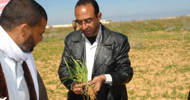 مدير مركز بحوث الصحراء بمطروح يوجه بمقاومة آفة حشرية بالزراعات 