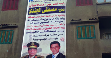 مصطفى الجندى ينشر لافتات لإعلان دعمه للسيسى بـ"السنبلاوين"