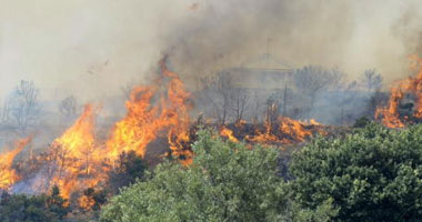 السيطرة على حريق فى مخلفات أشجار بـ"أبو رواش" بأكتوبر