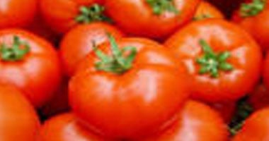 الطماطم تسبب اضطراب الأمعاء فى بعض الحالات لمرضى التهابات القولون