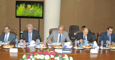 "البترول": شركات عالمية استحوذت على حصص بمناطق امتياز الشركاء الأجانب