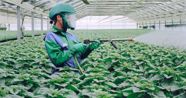 "الزراعة" تكلف لجنة الآفات بتشديد الرقابة على أسواق المبيدات 