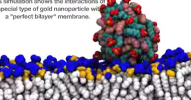 بالفيديو.. استخدام جسيمات الذهب لتوصيل العقاقير داخل الخلايا