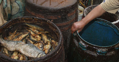 ضبط 700 كيلو أسماك مملحة فاسدة بالمنوفية