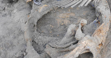 اكتشاف آثار أقدام ماموث عمرها 6 .1 مليون سنة شمالى الصين